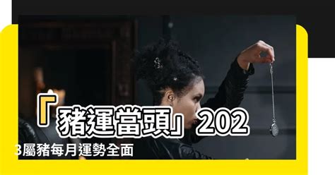 2023屬豬運勢|2023年12生肖運勢：兔謀定後動、蛇心想事成、猴幸。